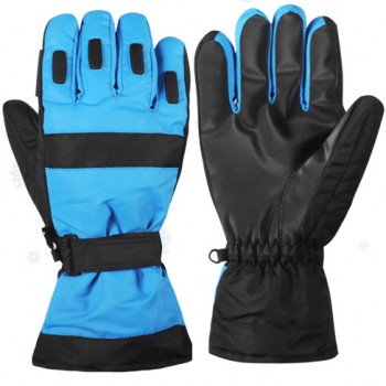 Ski Gloves