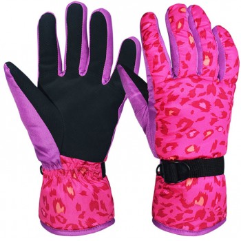 Ski Gloves