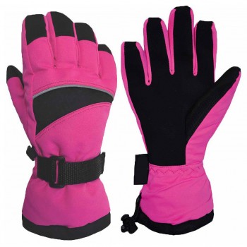 Ski Gloves